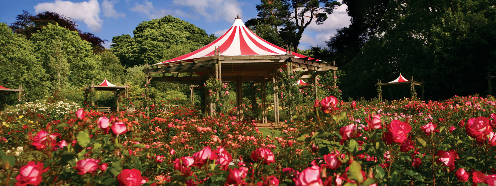 Lady Dixon Park, Belfast