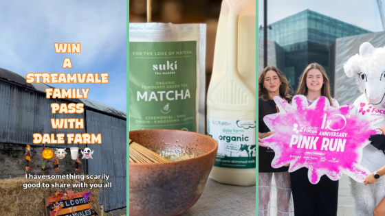 October 2025 at Dale Farm