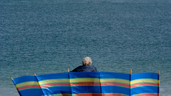 Windbreakers At The Beach