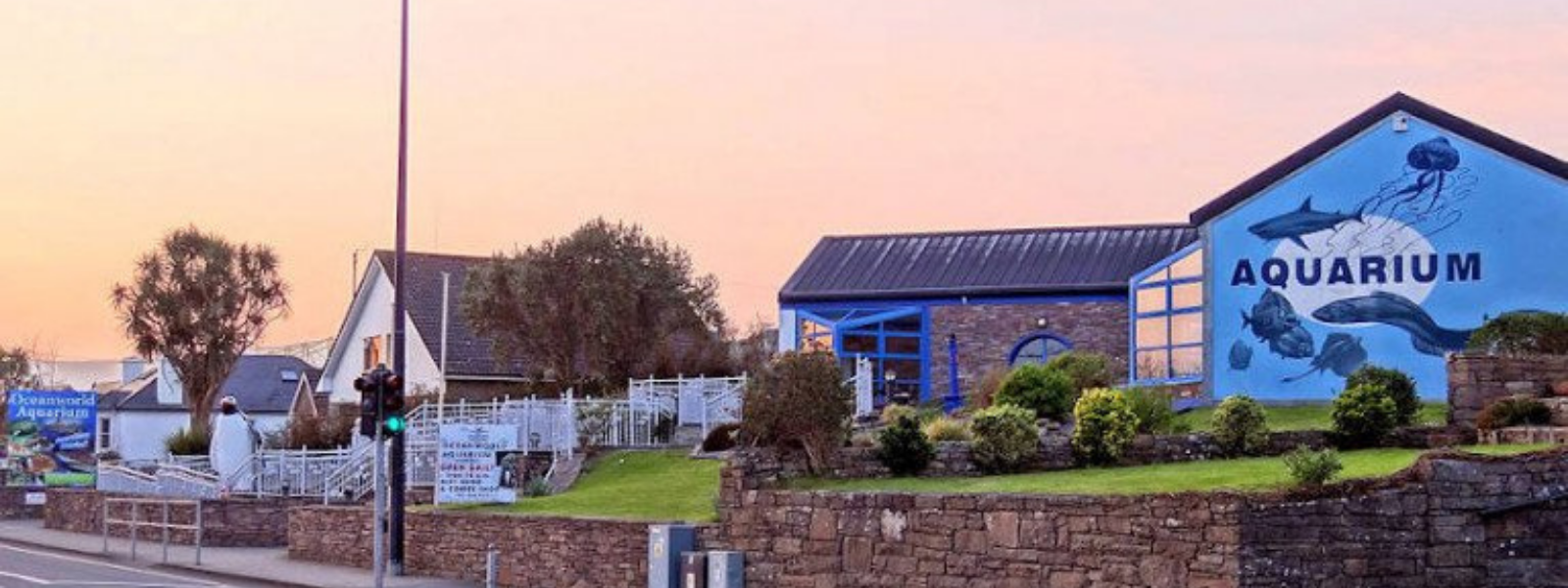 Dingle Oceanworld Aquarium, Co. Kerry