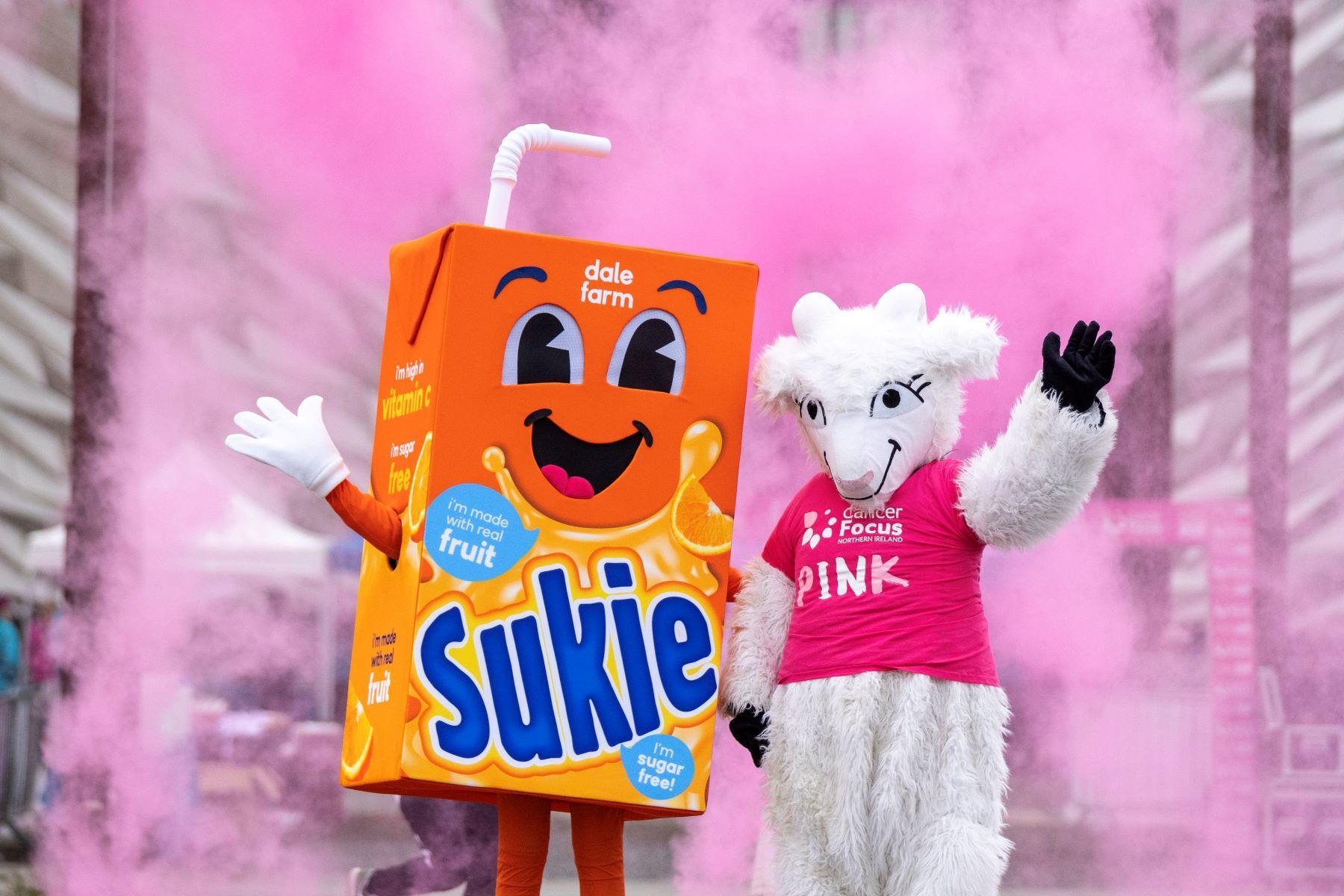 Cancer Focus NI’s annual Pink Run!