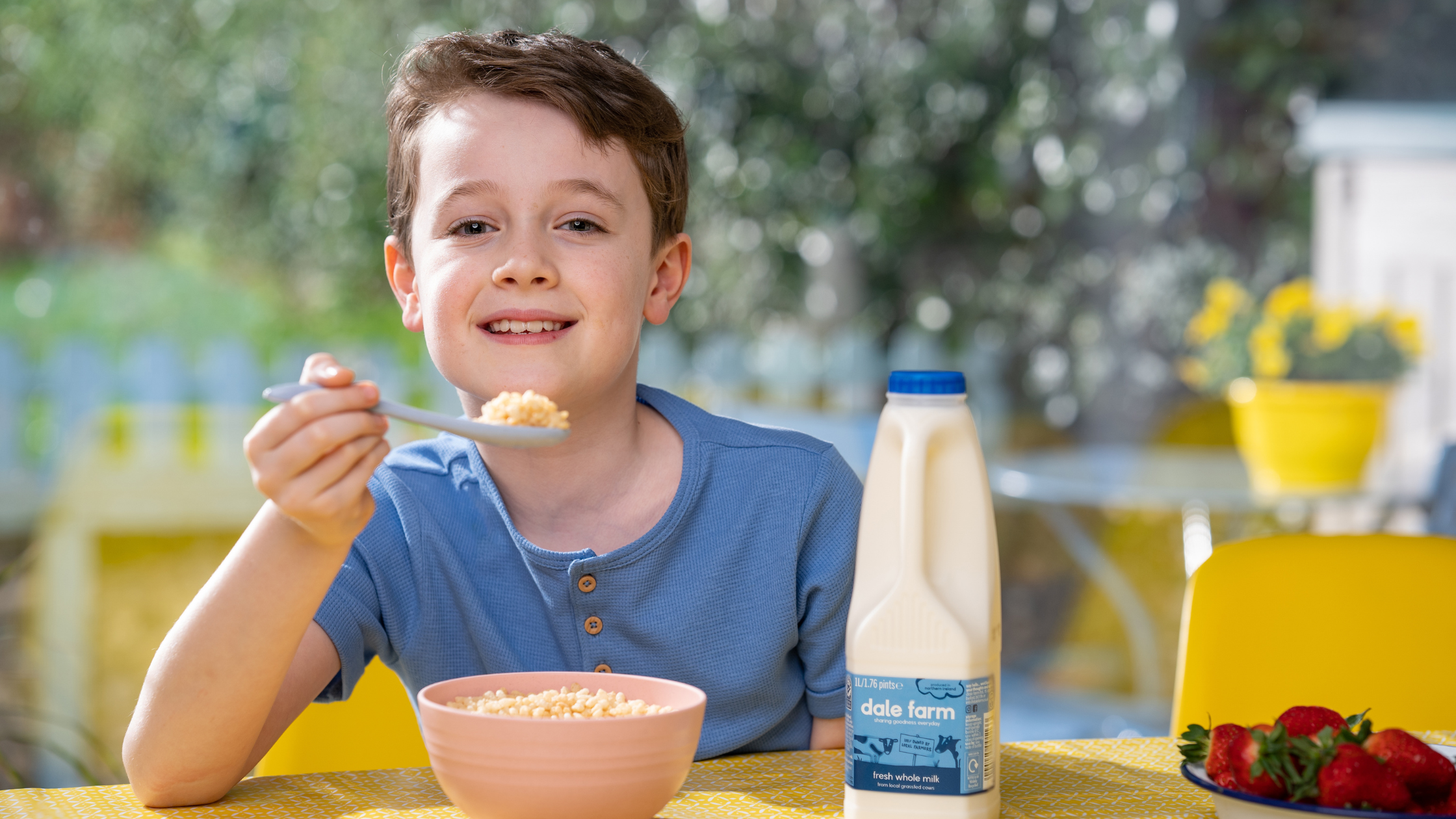 Dale Farm Blog Banner