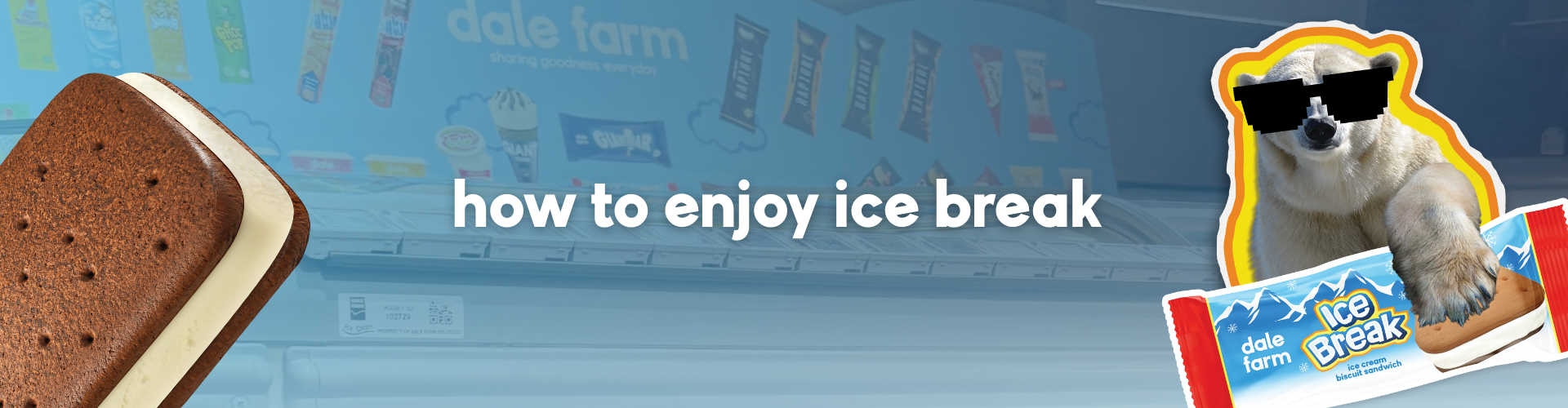 Dale Farm Featured Images 1