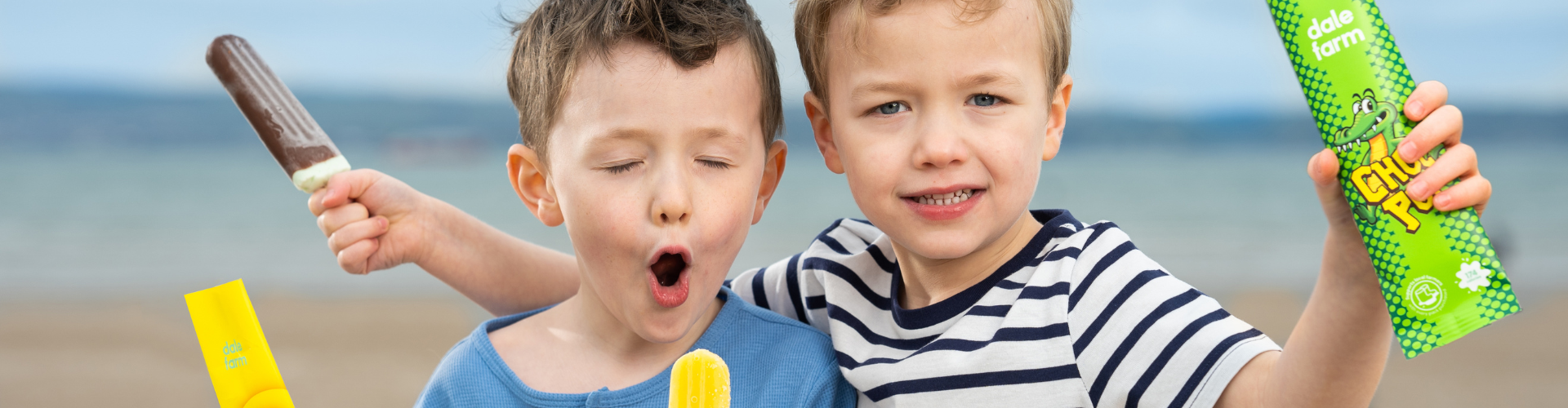 Dale Farm Featured Images 3