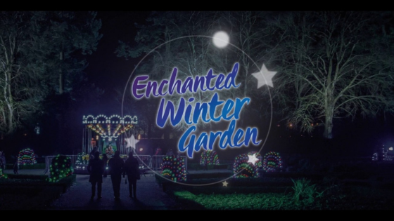 Enchanted Winter Garden
