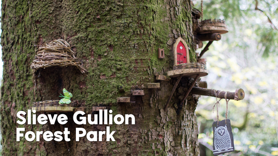 Slieve Gullion Forest Park Northern Ireland